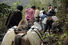 People of Dawen Village of Donglan Township load barrels of water by horses in Donglan County, southwest China's Guangxi Zhuang Autonomous Region, February 23, 2010. People of Dawen Village of Donglan Township load barrels of water by horses in Donglan County, southwest China's Guangxi Zhuang Autonomous Region, February 23, 2010.