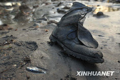 Photo taken on March 2 shows a shoe left behind by local people after a quake-triggered tsunami swept across Constitución in southern Chile on Feb. 27, 2010.[Song Weiwei/Xinhua] 