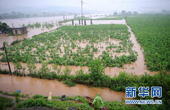 The farmlands are flooded in Ningdu County, Jiangxi Province, on June 18, 2010. The farmlands are flooded in Ningdu County, Jiangxi Province, on June 18, 2010.