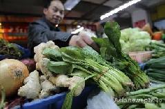 A vendor sorts spinach at a vegetable market in Beijing, April 6, 2011. Sample inspections conducted on Tuesday found low levels of radioactive iodine in spinach planted in Beijing, Tianjin and Henan province. [Asianewsphoto]