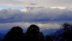 Smoke and ash billowing from Puyehue volcano is seen near Osorno city in southern Chile June 4, 2011. Smoke and ash billowing from Puyehue volcano is seen near Osorno city in southern Chile June 4, 2011.