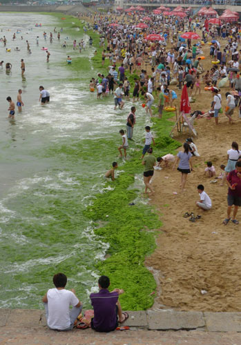 People swim at a bathing beach filled with green algae in Eash China's coastal city Qingdao, July 16, 2011. [Photo/Xinhua] 