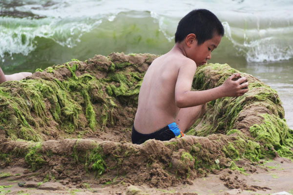 A boy plays at a bathing beach filled with green algae in Eash China's coastal city Qingdao, July 16, 2011. [Photo/Xinhua]