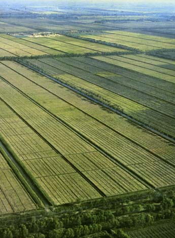 A wide-spread threat of land subsidence has been found on the North China Plain