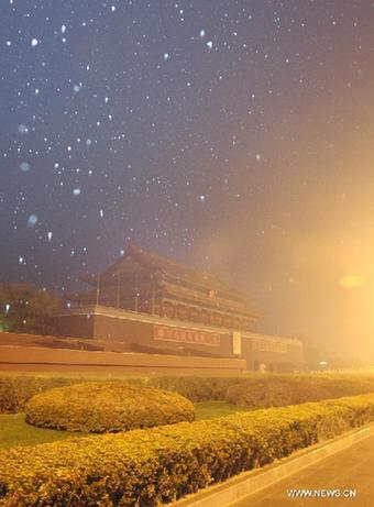 Snow falls onto the plants near the Tian&apos;anmen Rostrum in Beijing, capital of China, Dec. 2, 2011. Beijing witnessed the first snowfall of this winter on Friday morning. [Xing Guangli/Xinhua]