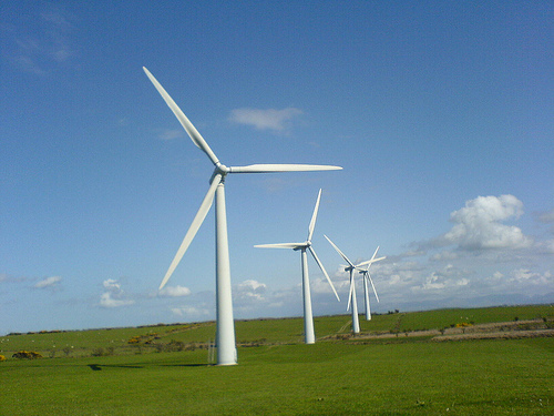 China has set up a national think tank on renewable energy. [File photo]