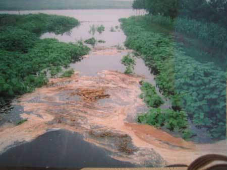 Heavy water pollution in the Yellow River. [File photo] 