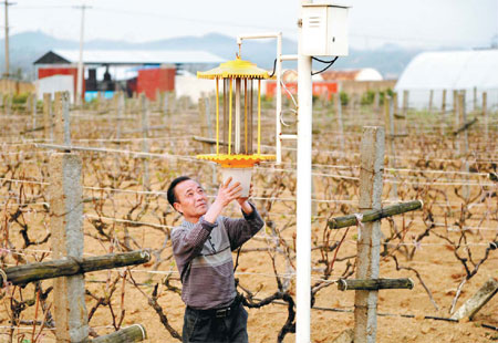 Zeng Jiquan, a vegetable expert in Ganxian county, Jiangxi province, has helped local farmers to kill insects with solar-powered device instead of using pesticides. [Xinhua] 