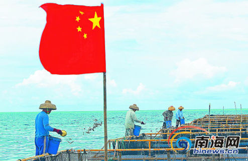 China's Hainan Province will launch a survey of wildlife on and around the South China Sea Islands. [hinews.cn]