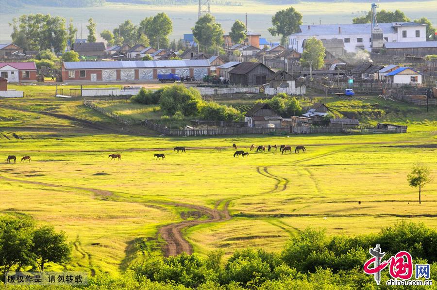 Lying along the Argun River in Inner Mongolia, surrounded by lush pine trees and xylosma shrubs with horses and cattle freely strolling country roads while herders sing traditional folk songs, the ethnic Russian township of Shiwei lures visitors with a poetic, natural essence and a historical charm.