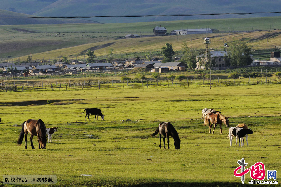 Lying along the Argun River in Inner Mongolia, surrounded by lush pine trees and xylosma shrubs with horses and cattle freely strolling country roads while herders sing traditional folk songs, the ethnic Russian township of Shiwei lures visitors with a poetic, natural essence and a historical charm.