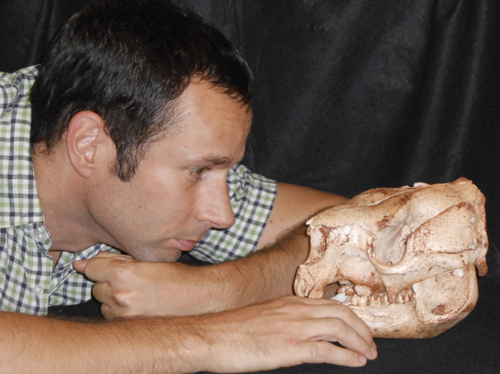 Dr Bastien Llamas with a skull of an extinct short-faced kangaroo (Simosthenurus occidentalis).